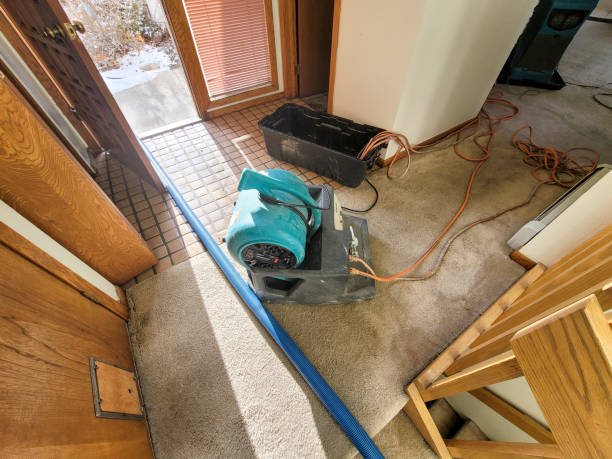 Best Mold removal after water damage  in Idabel, OK