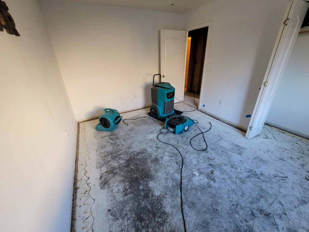 Best Local water damage restoration  in Idabel, OK