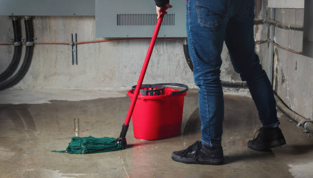 Best Water damage cleanup near me  in Idabel, OK