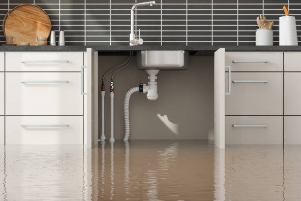 Best Fire Damage Restoration  in Idabel, OK