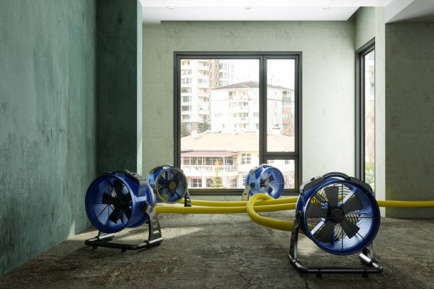 Best Residential water damage restoration  in Idabel, OK
