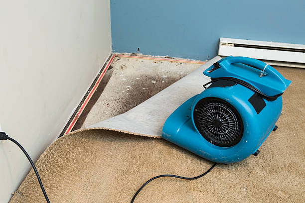 Trusted Idabel, OK Water damage restoration Experts